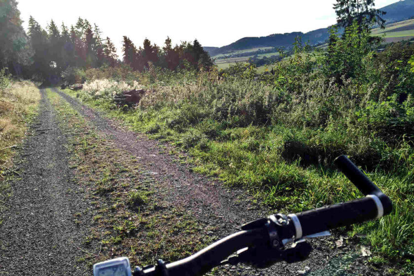 Waldweg aus der Perspektive eines Mountainbikefahrers fotografiert