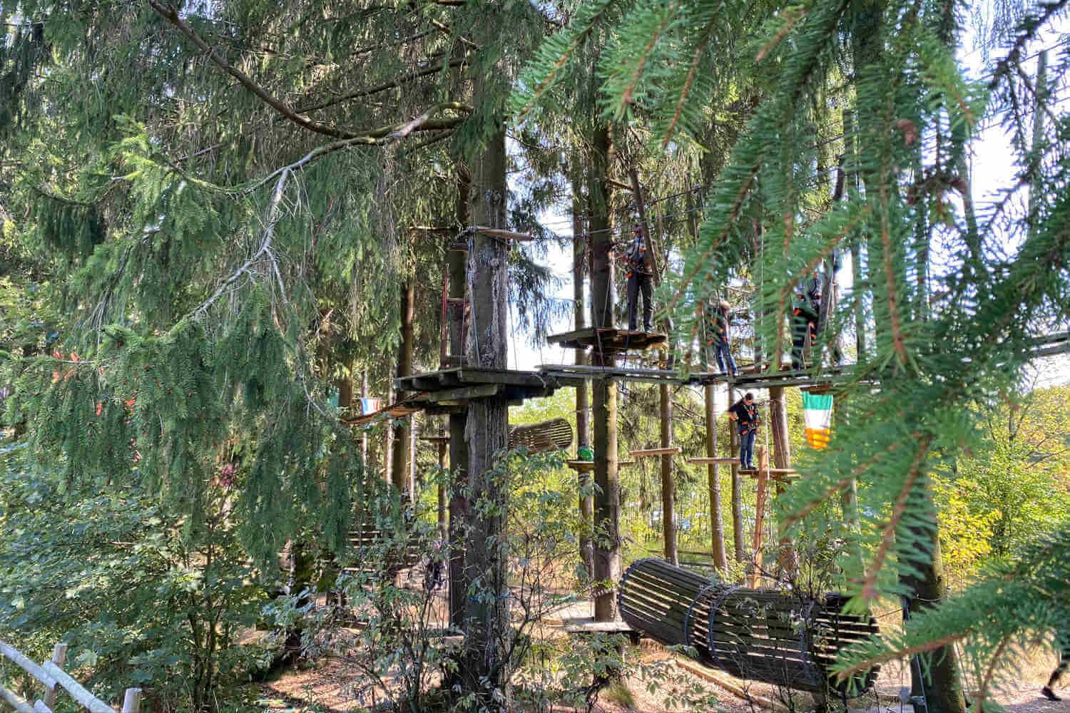 Verschiedene Attraktionen, die im Kellerwald Winterberg zwischen den Bäumen installiert wurden