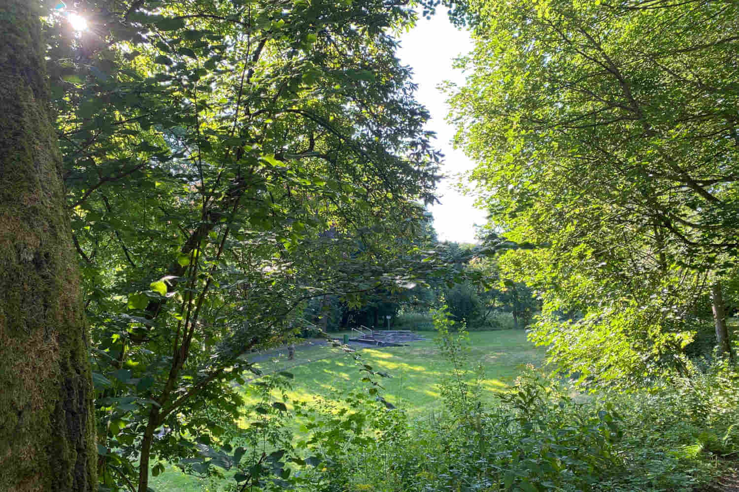 Naturtretbecken beim Naturweg Liesetal durch Bäume und Sträucher fotografiert