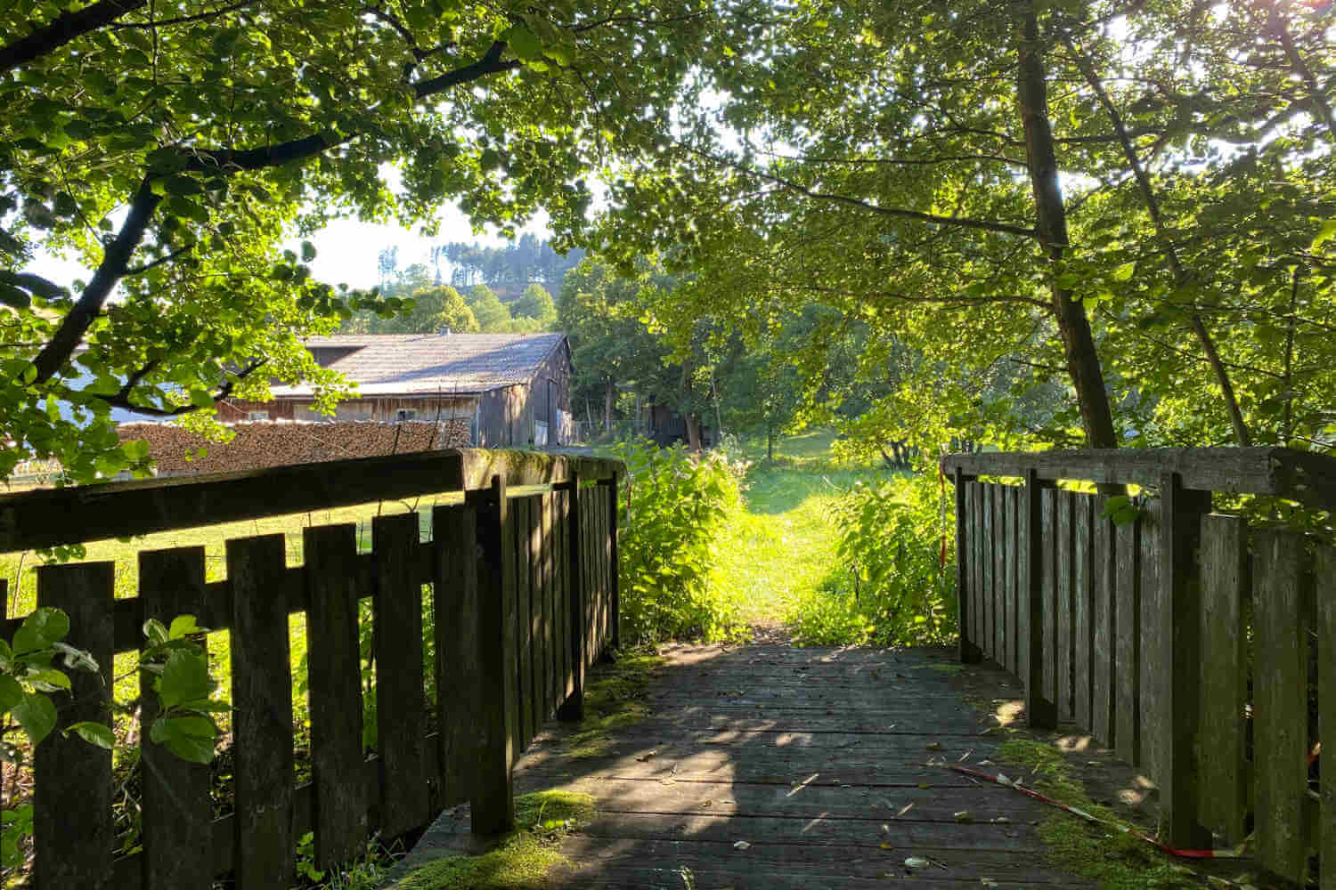 Kleine Holzbrücke am Naturweg Liesetal