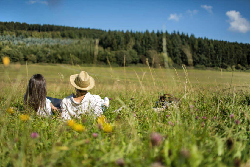 Ein Paar liegt bei klarem Sommerwetter im hohen Gras