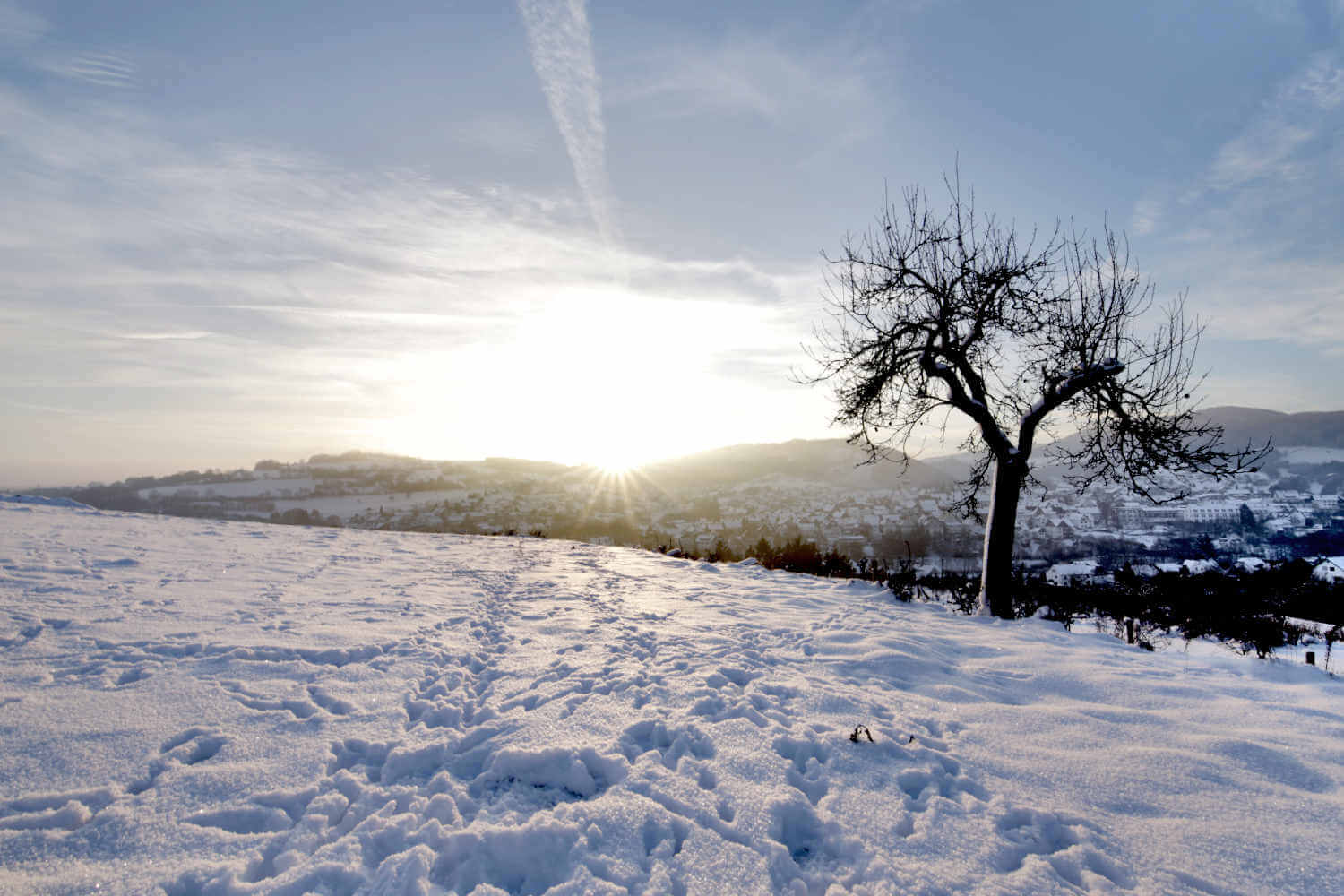 Eine hellblau-weiße Schneelandschaft mit tiefstehender Sonne