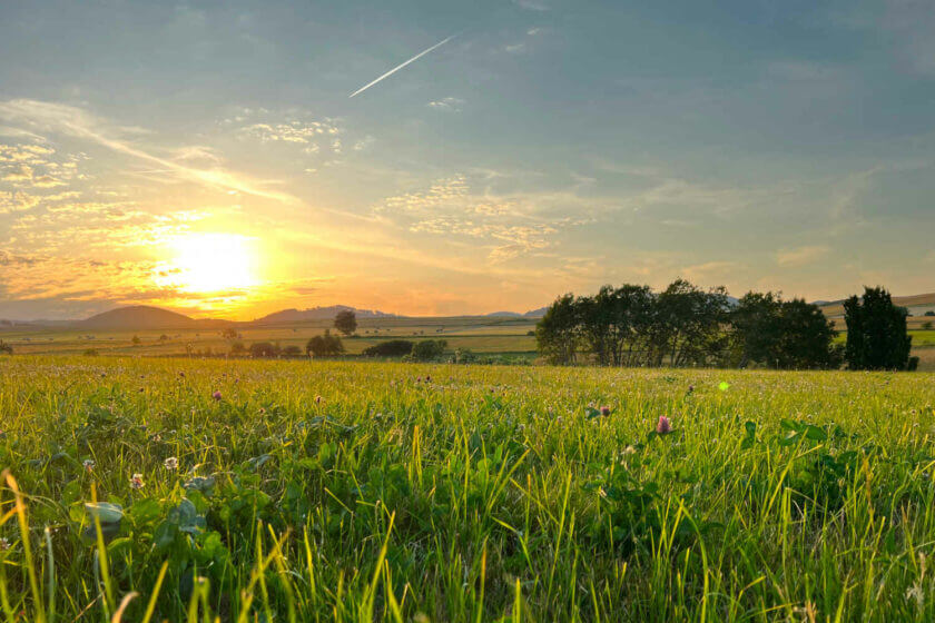 Die Sonne steht tief über den Wiesen im Feld von Hallenberg - Hotel Diedrich