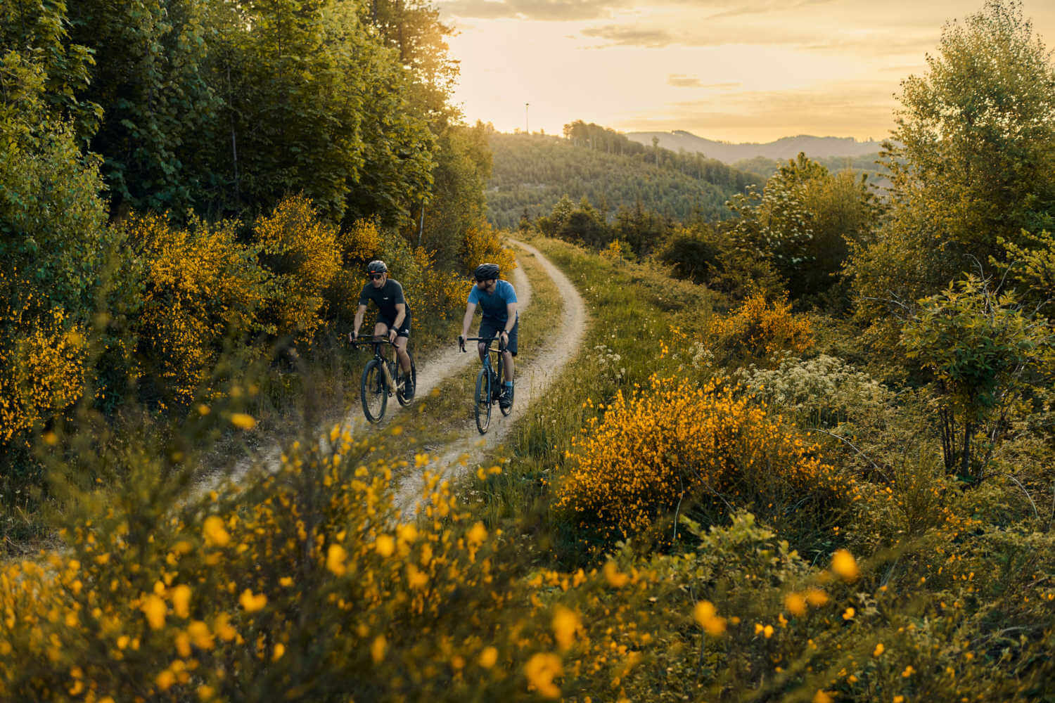 Two mountain bikers ride downhill at the edge of the forest, picturesque landscape in the background
